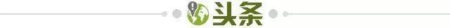 1733787246762040688.jpg 头条.jpg